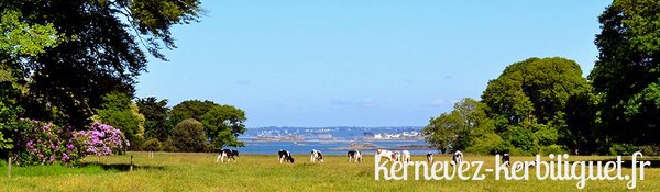 Camping golfe du morbihan : votre échappée familiale à theix